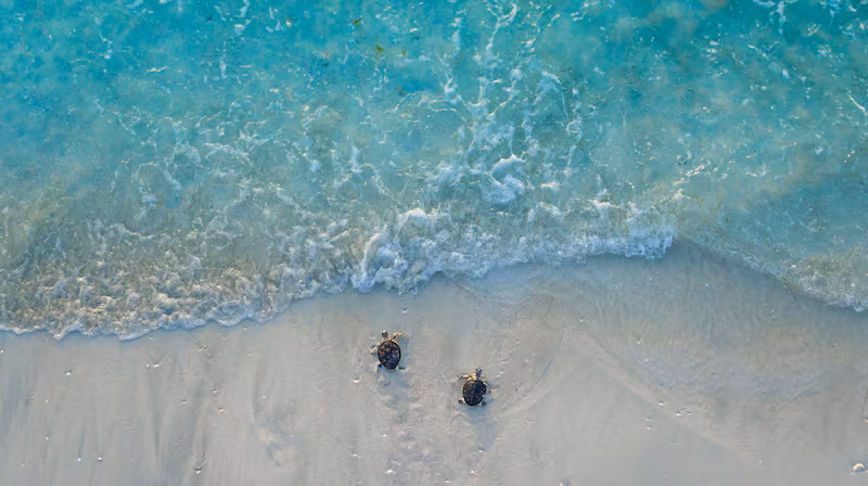 Saadiyat Beach ranks among worlds top beaches UAE Saadiyat Beach ranks among worlds top beaches UAE