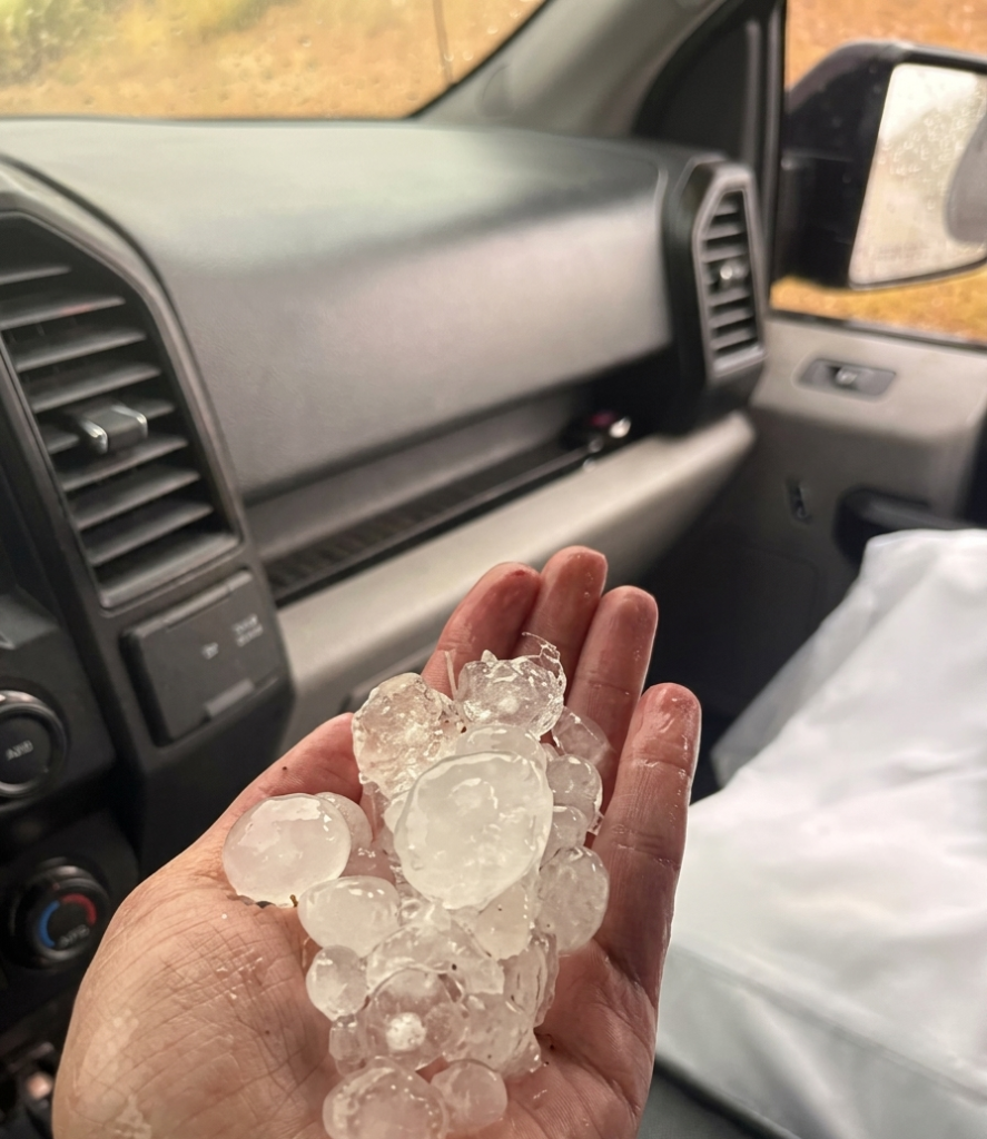 UAE rain chase brings hundreds to Mleiha