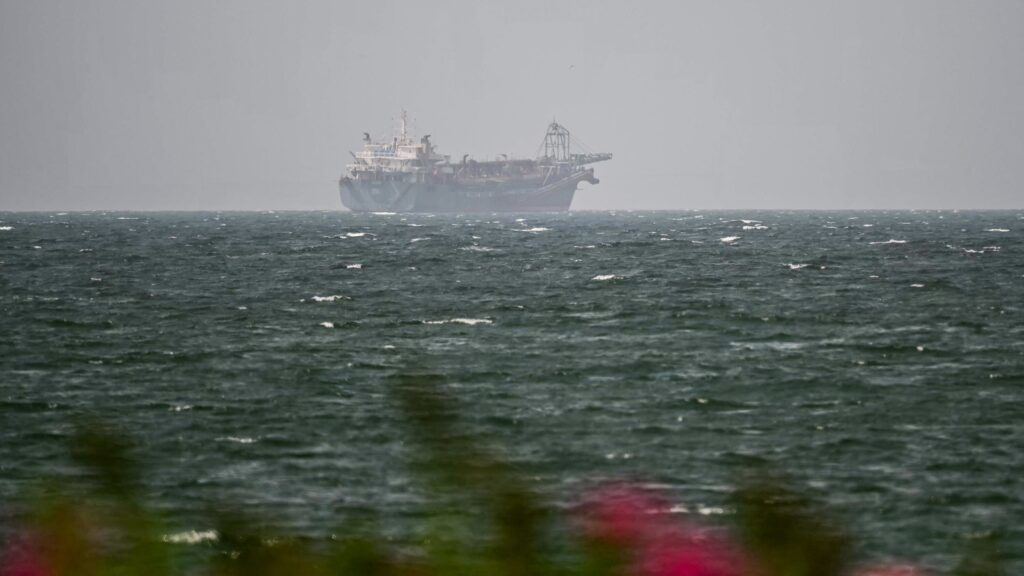 UAE Iran Trade Suspension Draws Global Focus