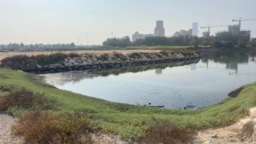 UAE Stops Oil Leak as Coastal Cleanup Continues